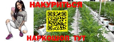 крисы Мариинск