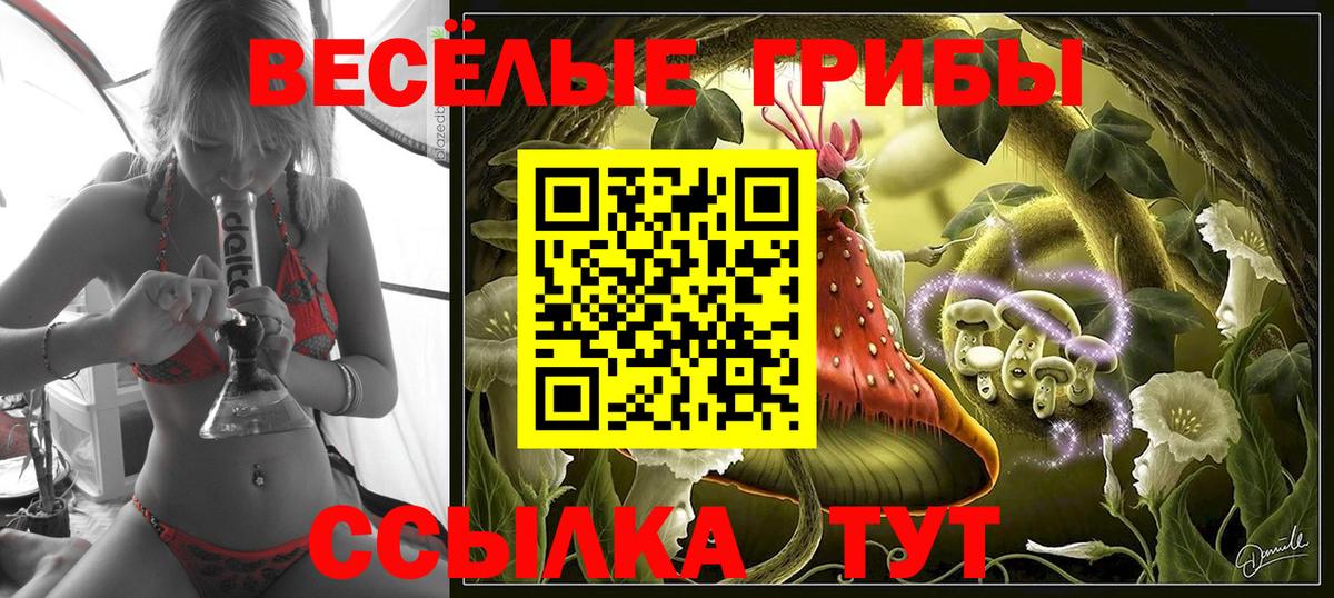 Химки  Галлюциногенные грибы GOLDEN TEACHER  Вход с VPN  Псилоцибиновые грибы ЛСД 